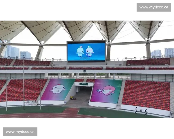 体育资讯PC版全新升级打造专业赛事数据与深度报道平台体验升级